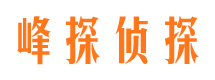 包河外遇调查取证